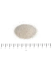 698db06b08619.webp