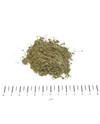 698db104e78ac.webp