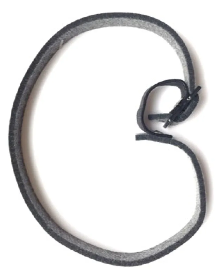 Petvital Obojek na klíšťata a cizopasný hmyz